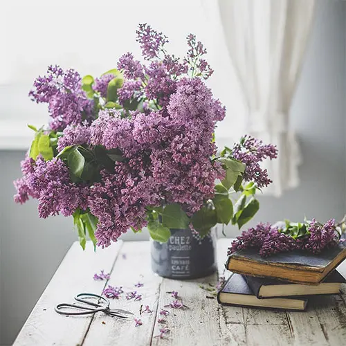 Живые цветы в интерьере