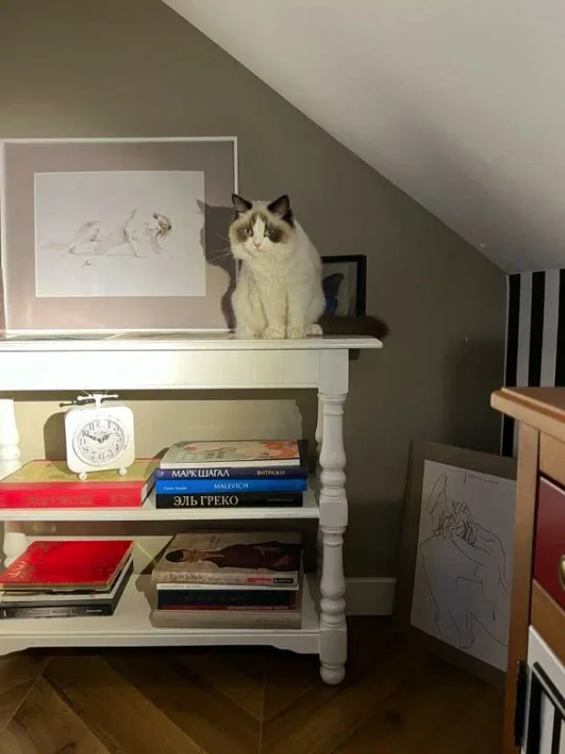 Результаты фотоконкурса среди покупателей