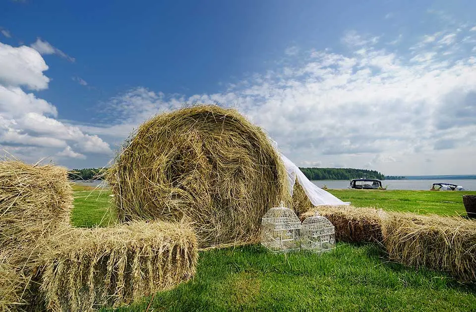 Свадьба на берегу...
