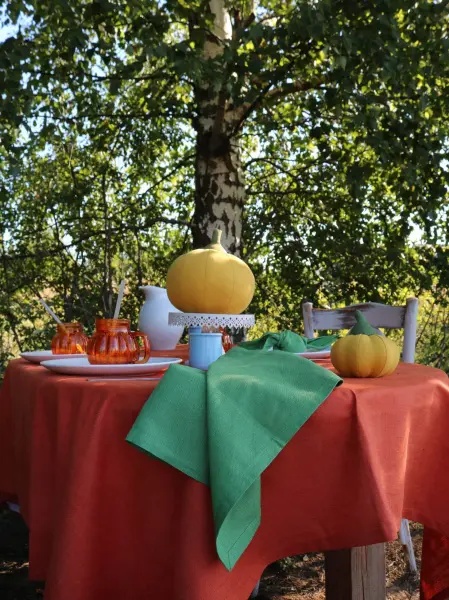 Базовая коллекция Набор салфеток Сочная зелень