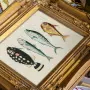 Картина «Фантастика подводного мира» в раме «Шелли» (том 1, версия 15)