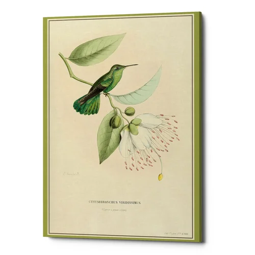 Картина на холсте «Жемчужины природы», версия 19