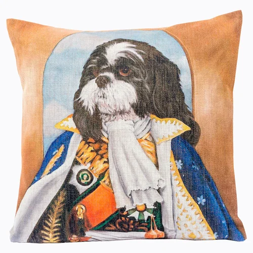 Арт-подушка «Музейный экспонат», версия 37 «Военачальник»