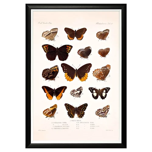 Арт-постер «Тропический рай», версия 41