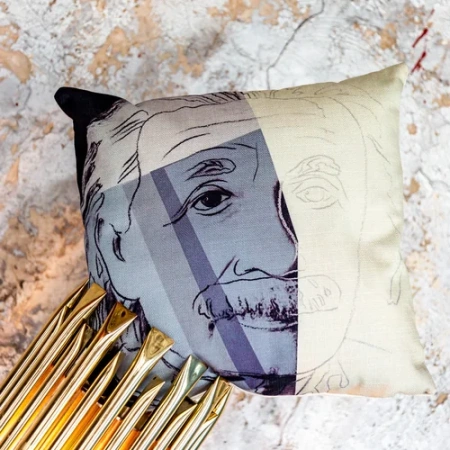 Арт-подушка «Эйнштейн»