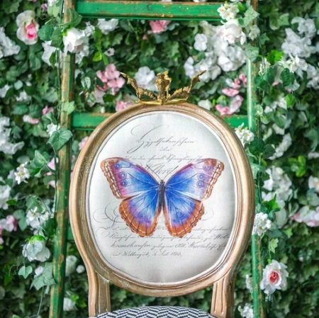 Стул «Мисс Октавия» (жаккард)