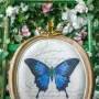 Стул «Мисс Улисс» (жаккард)