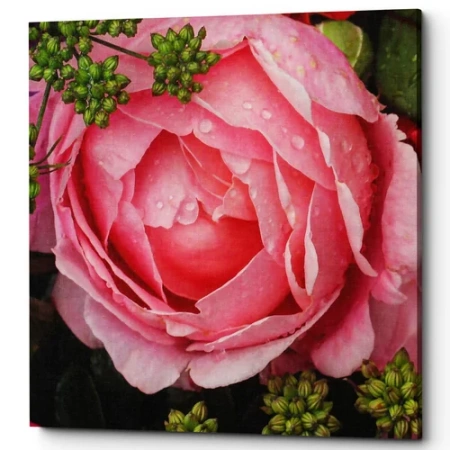 Картина «Rose Rose» (холст, галерейная натяжка)