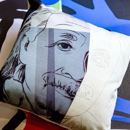 Арт-подушка «Эйнштейн»