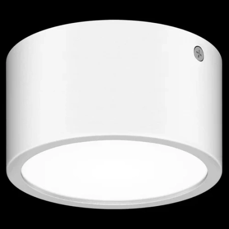 Уличный светодиодный светильник Lightstar Zolla 380163