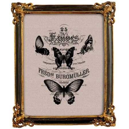 Репродукция ретро-гравюры «Butterfly Dance» в раме «Селин»